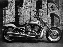 Harley Davidson VRSCA V