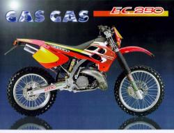 Gas Gas EC 250