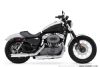 2009  Harley-Davidson Sportster 1200 Nightster XL1200N