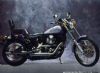 Harley Davidson FXSTC 1340 Softail Custom