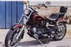 Harley Davidson FXS 80 Low Rider